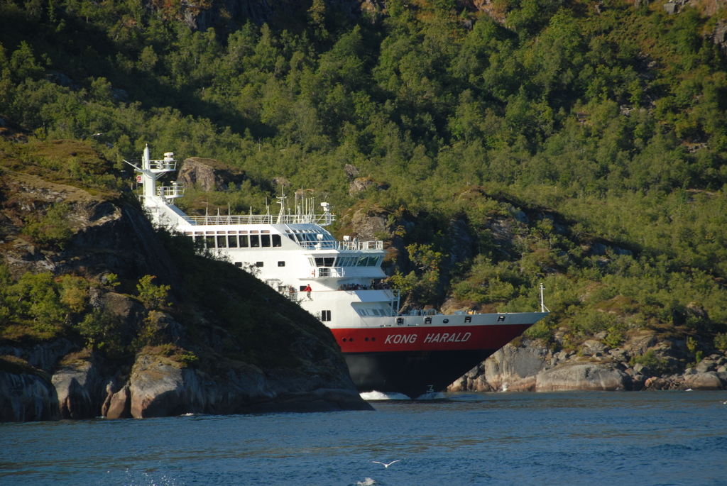 MS Kong Harald